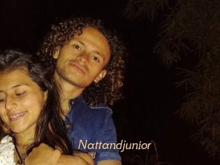 Nattandjunior