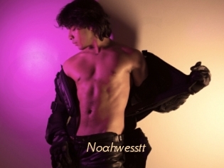 Noahwesstt