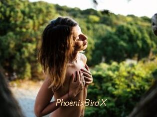 PhoenixBirdX