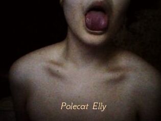 Polecat_Elly