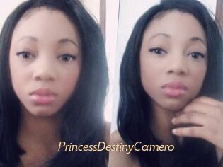 PrincessDestinyCamero