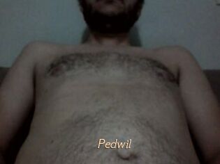 Pedwil