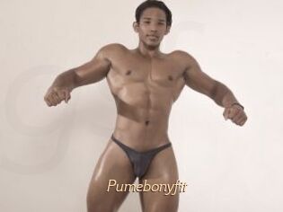 Pumebonyfit