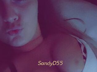 SandyD55