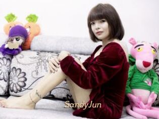 SandyJun