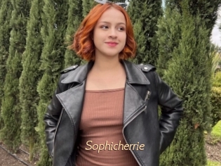 Sophicherrie