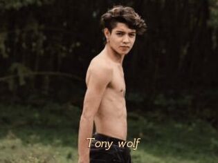 Tony_wolf