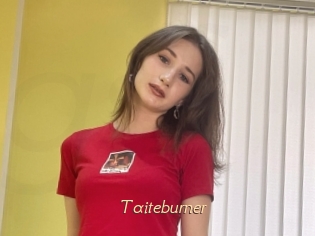 Taiteburner