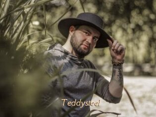 Teddysteel