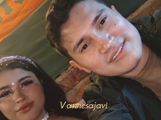 Vannesajavi