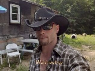 Wildcowboy