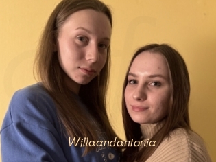 Willaandantonia